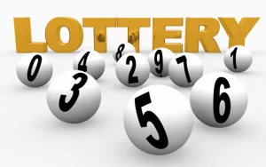 India Lottery Chetak